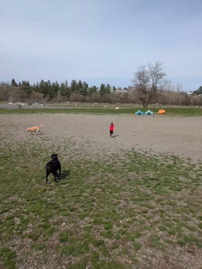 Scraps Dog Park - Liberty Lake, WA