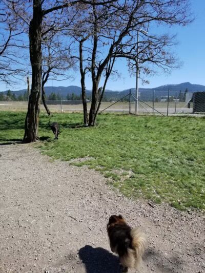 Scraps Dog Park - Liberty Lake, WA