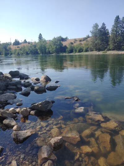 Scraps Dog Park - Liberty Lake, WA