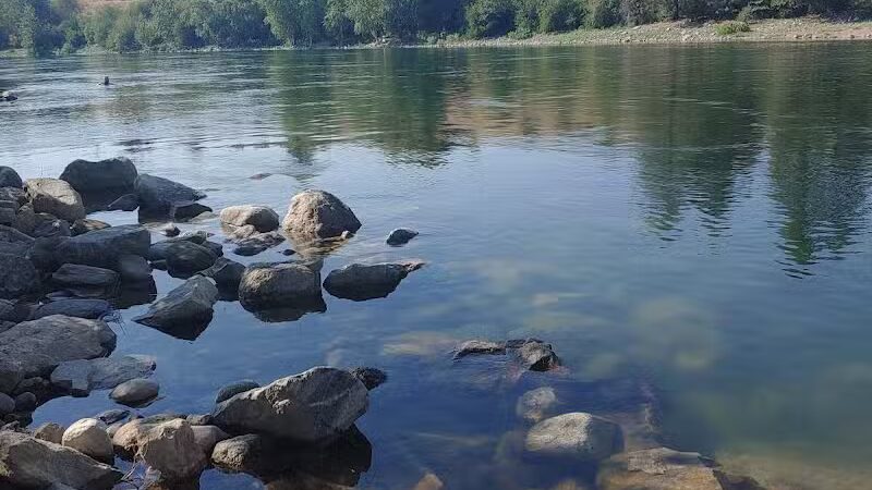 Scraps Dog Park - Liberty Lake, WA