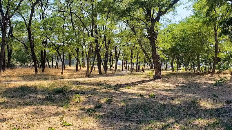 Scraps Dog Park - Liberty Lake, WA