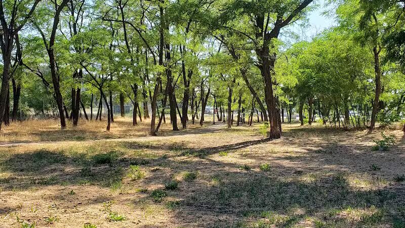 Scraps Dog Park - Liberty Lake, WA