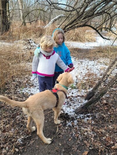 Independence Grove Off-Leash Dog Area - Libertyville, IL