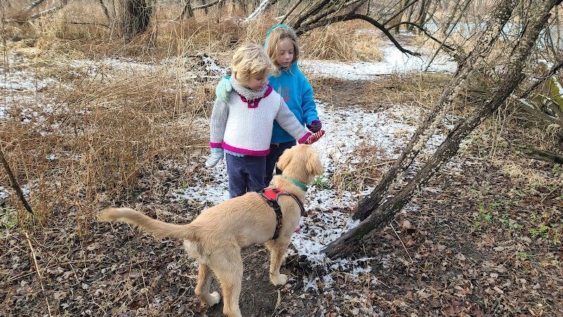 Independence Grove Off-Leash Dog Area - Libertyville, IL