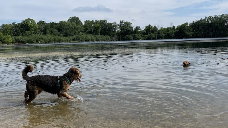 Independence Grove Off-Leash Dog Area - Libertyville, IL