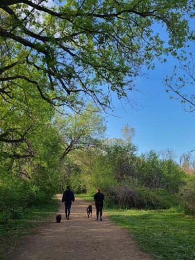 Independence Grove Off-Leash Dog Area - Libertyville, IL