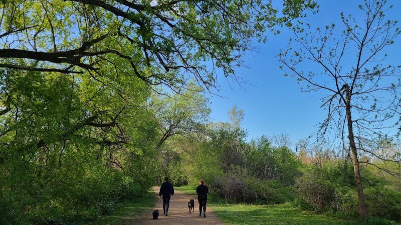Independence Grove Off-Leash Dog Area - Libertyville, IL