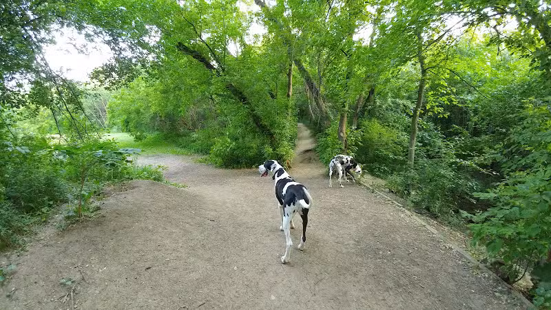 Independence Grove Off-Leash Dog Area - Libertyville, IL