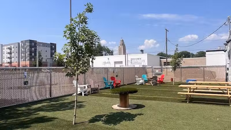 Off Leash Dog Bar - Lincoln, NE
