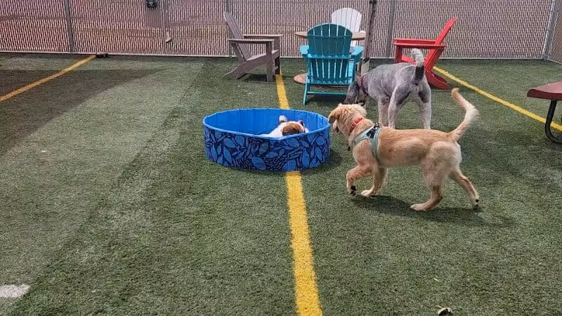 Off Leash Dog Bar - Lincoln, NE