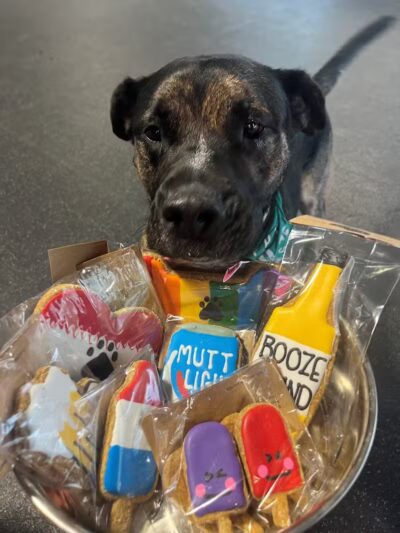 Off Leash Dog Bar - Lincoln, NE