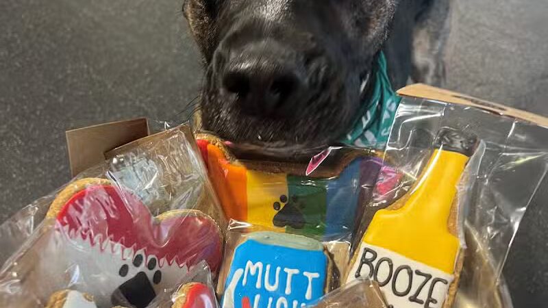 Off Leash Dog Bar - Lincoln, NE