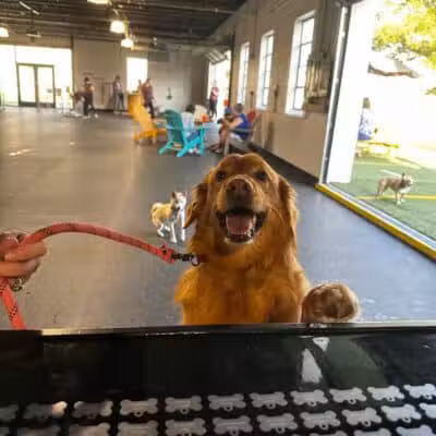 Off Leash Dog Bar - Lincoln, NE