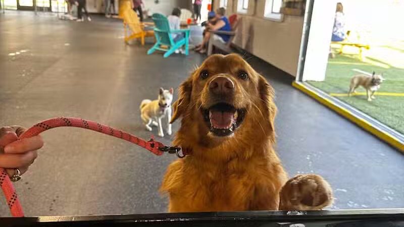 Off Leash Dog Bar - Lincoln, NE