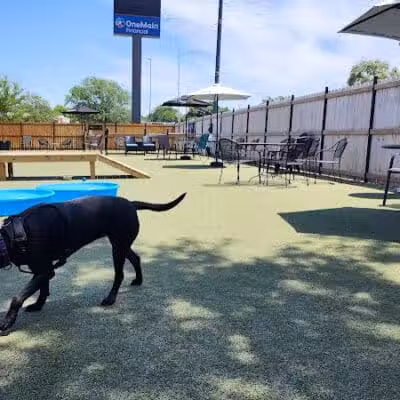 Urban Hound Dog Park & Bar - Lincoln, NE