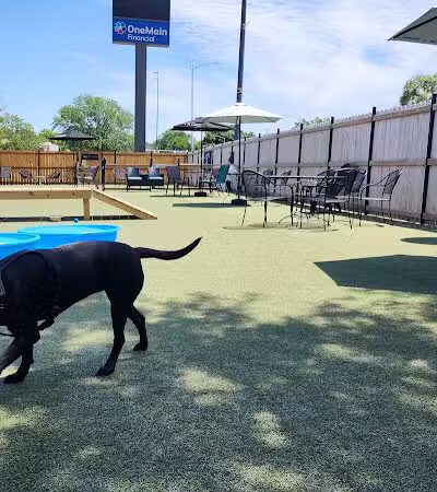 Urban Hound Dog Park & Bar - Lincoln, NE
