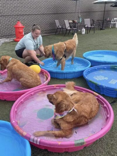 Urban Hound Dog Park & Bar - Lincoln, NE