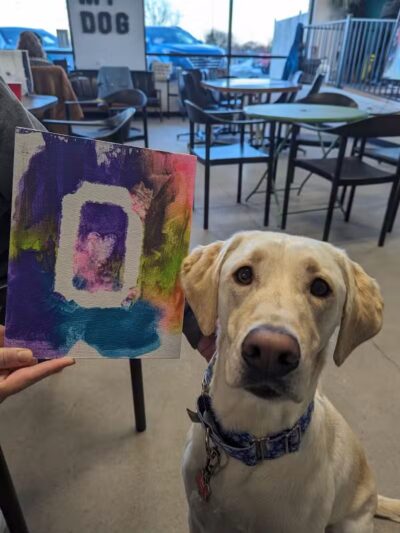 Urban Hound Dog Park & Bar - Lincoln, NE