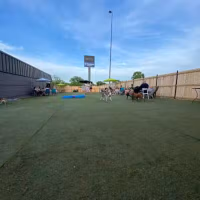 Urban Hound Dog Park & Bar - Lincoln, NE