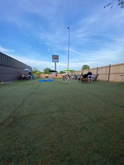 Urban Hound Dog Park & Bar - Lincoln, NE