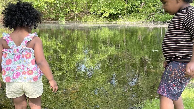 Albion Field and Playground