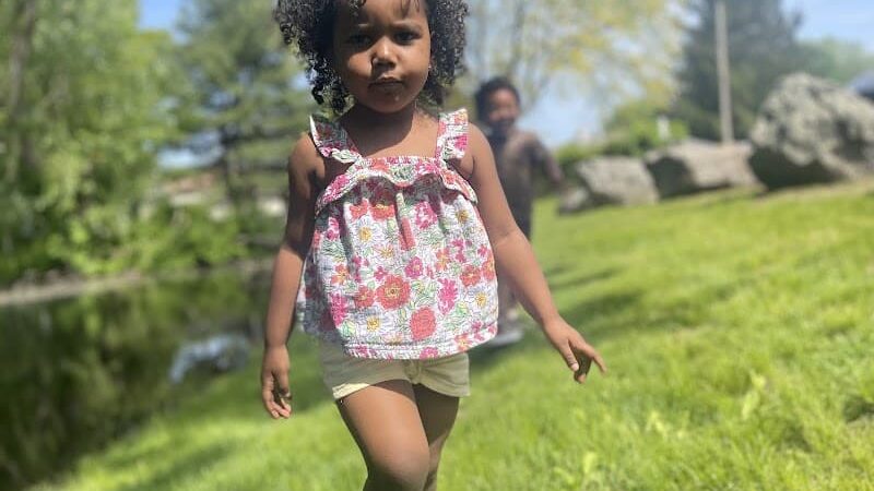 Albion Field and Playground