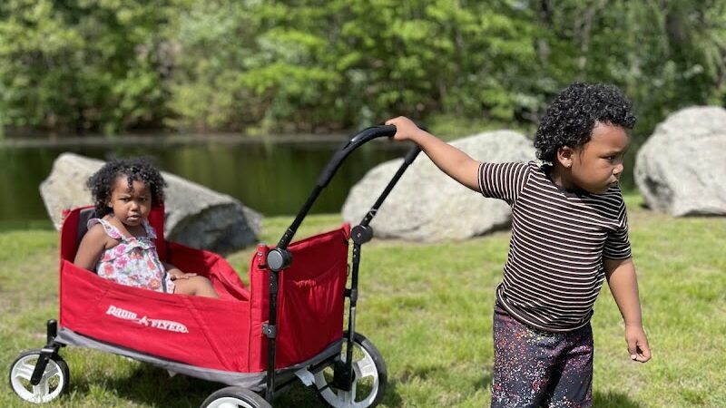 Albion Field and Playground