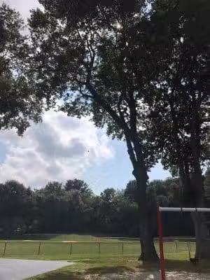 Albion Field and Playground