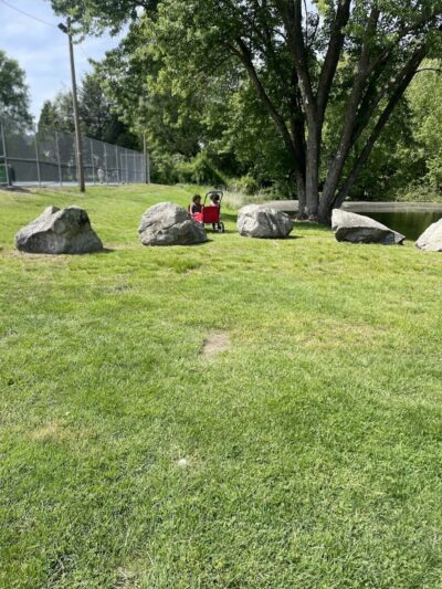 Albion Field and Playground