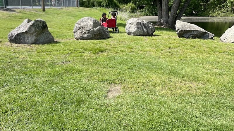 Albion Field and Playground