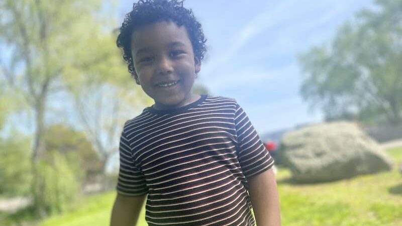 Albion Field and Playground