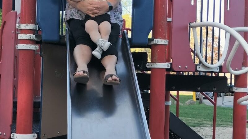 Albion Field and Playground