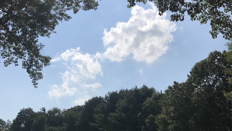 Albion Field and Playground