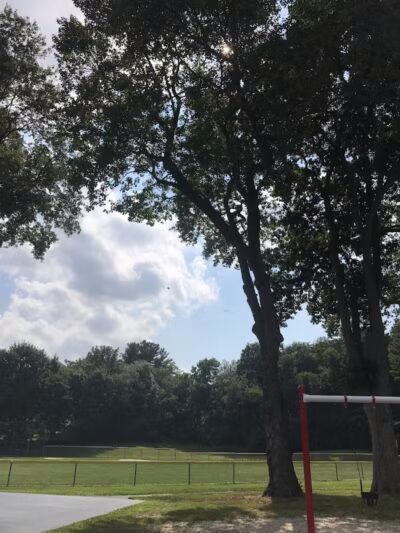 Albion Field and Playground