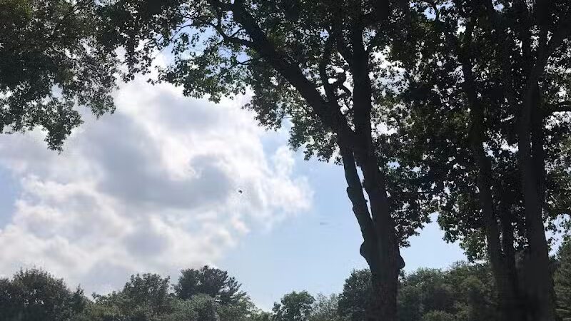 Albion Field and Playground