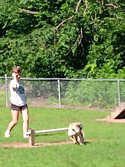 Motz Avenue Dog Park