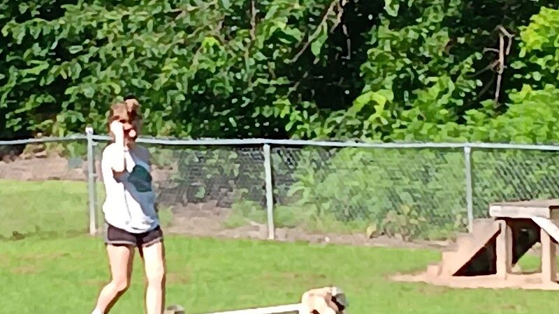 Motz Avenue Dog Park