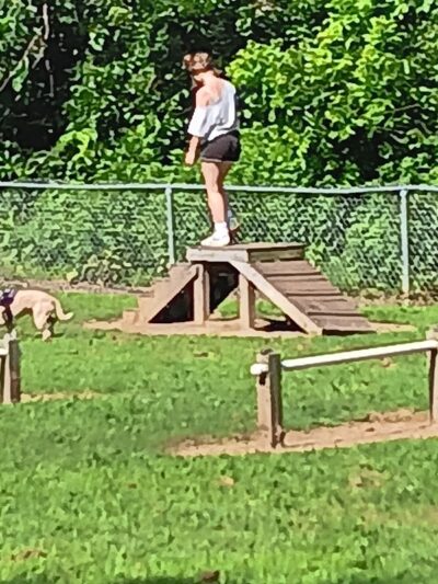 Motz Avenue Dog Park