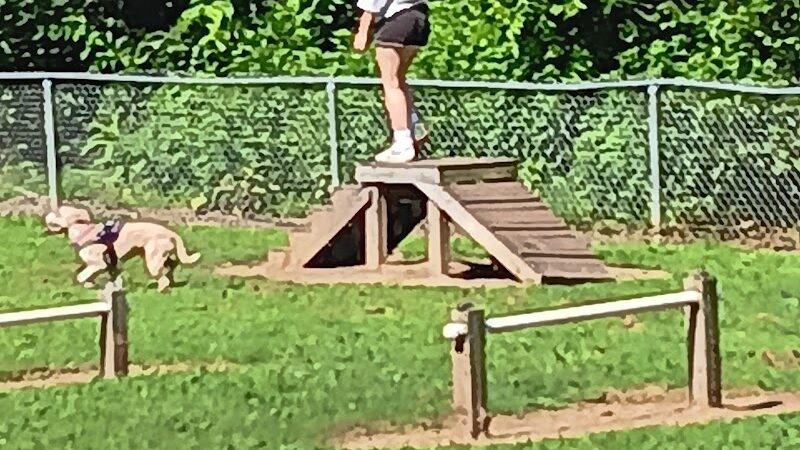 Motz Avenue Dog Park