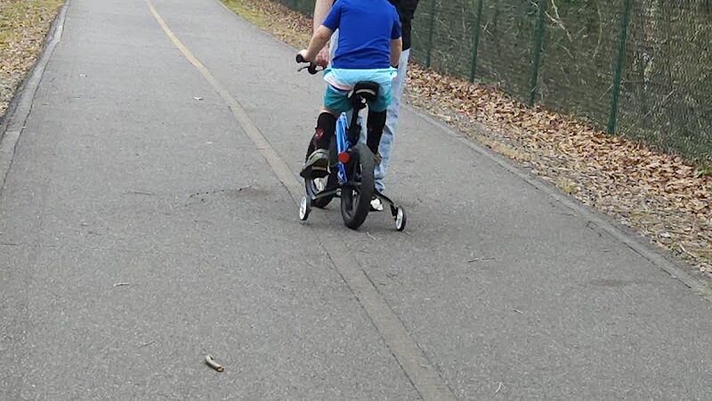 Motz Avenue Dog Park