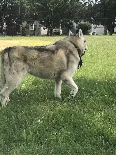 Fifth Ward Park - Linden, NJ