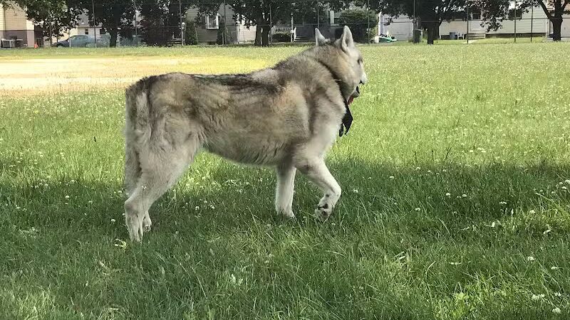 Fifth Ward Park - Linden, NJ