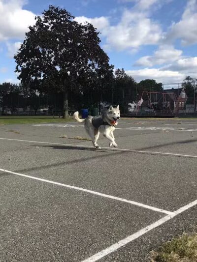 Fifth Ward Park - Linden, NJ