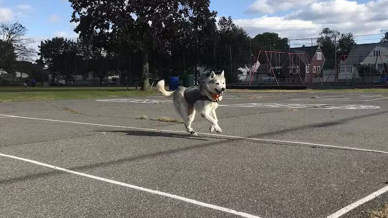 Fifth Ward Park - Linden, NJ