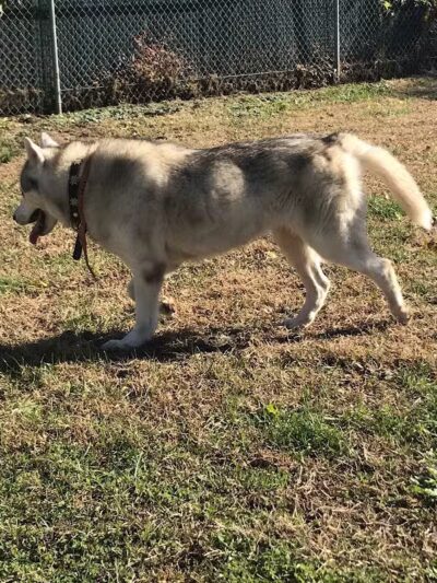Fifth Ward Park - Linden, NJ