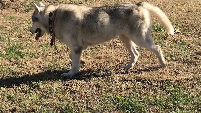 Fifth Ward Park - Linden, NJ