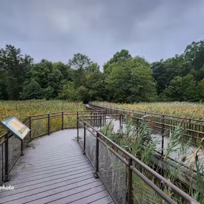 Hawk Rise Sanctuary - Linden, NJ