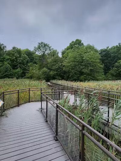 Hawk Rise Sanctuary - Linden, NJ