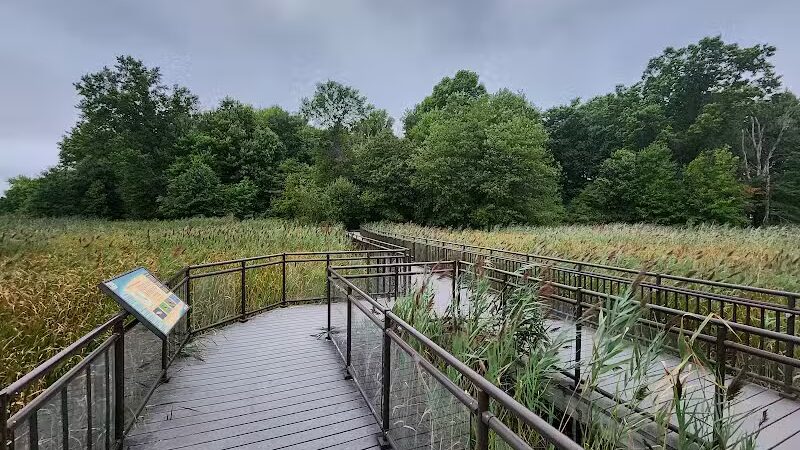 Hawk Rise Sanctuary - Linden, NJ