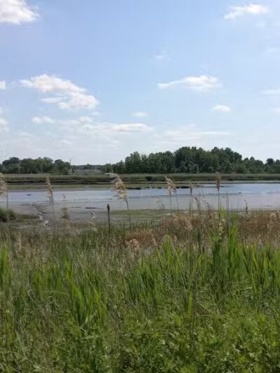 Hawk Rise Sanctuary - Linden, NJ